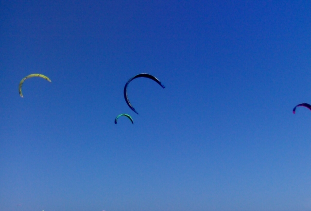  Papagaios no céu das Canárias 