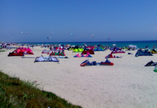  Concentração de papagaios 