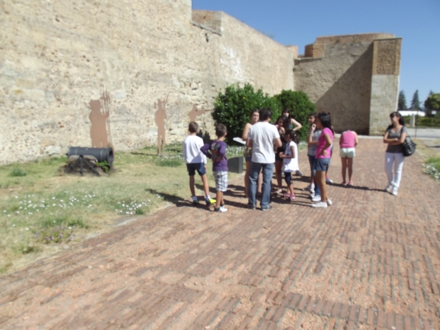  Visites culturelles 
