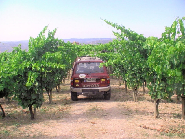  Vignoble centenaire du Priorat 