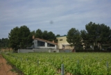 Bodegas Vegalfaro