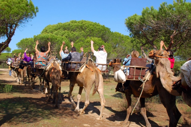 Divirtiéndose subidos en camellos