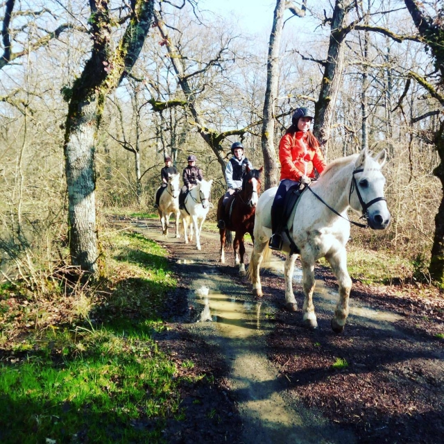 con amigos haciendo una ruta a caballo