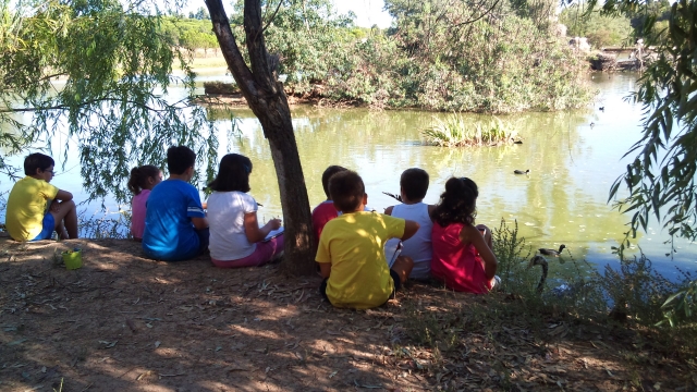 Sentados en el lago