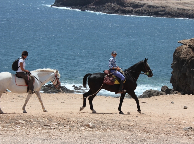 Équitation sur la côte canarienne 