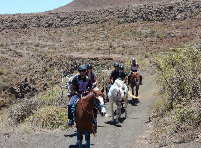  Pratiquer l'équitation dans les îles Canaries 