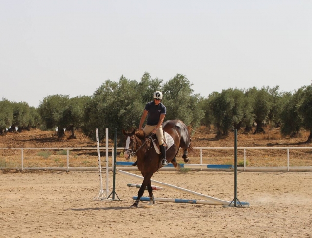Salto profesional a caballo