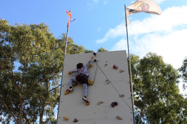  Managing to climb the entire wall 