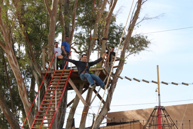  Going down from the tree without fear 