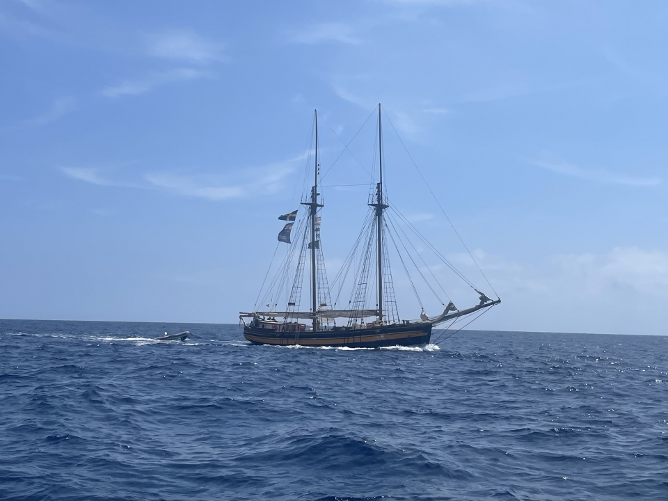 res_o-65078-paseos-en-barco_de_maria-dolores-martos-gomez_img-5516_17537798535061.jpeg