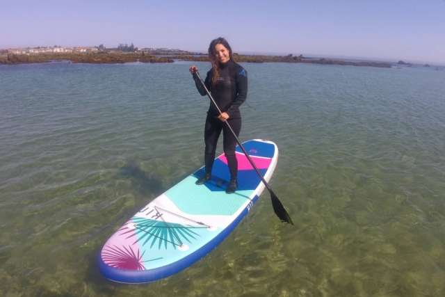  About the paddle surf board 