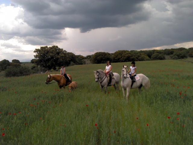  Caminhada pelo campo 