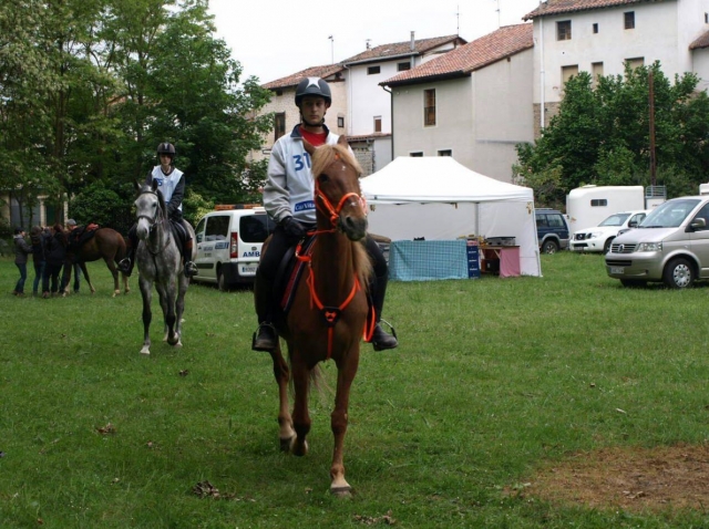 Participantes del concurso hipico