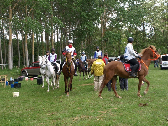 Carrera en el campamento hipico