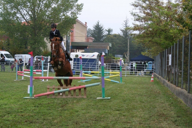 Saltos a caballo en el campamento