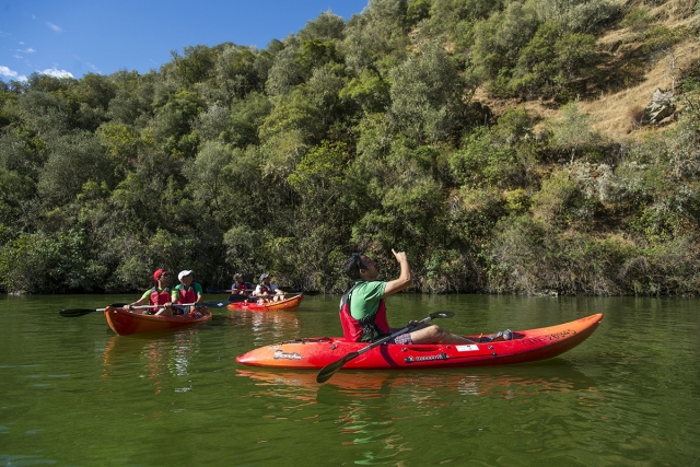 Paseo en kayak 