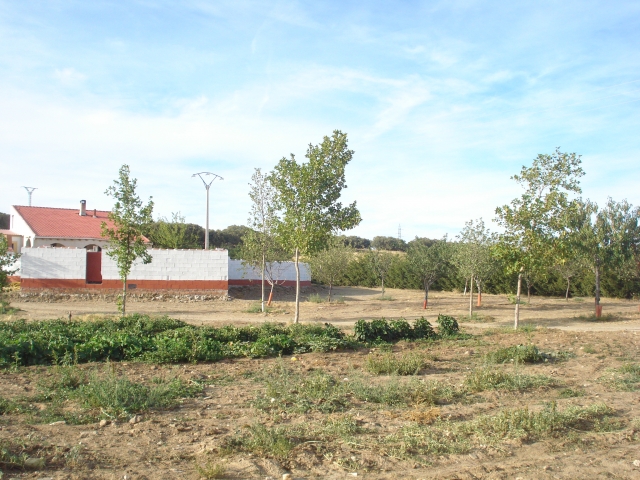  Finca Villa Consentida 