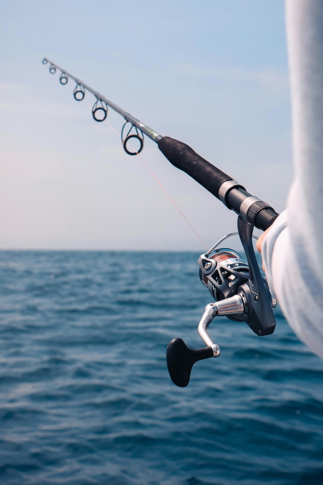 Pesca en Marbella