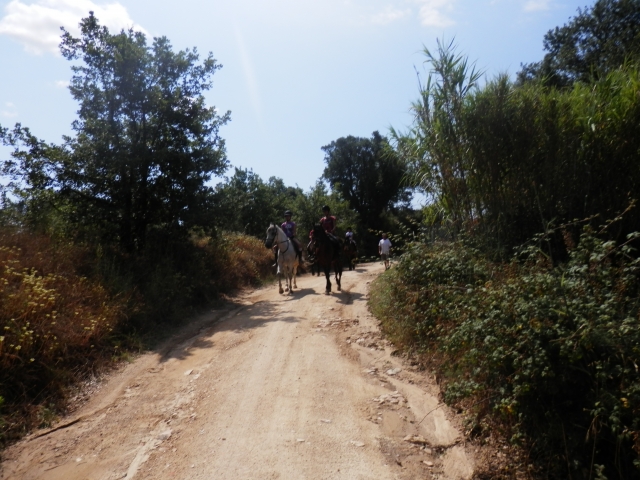 A caballo en camino de tierra