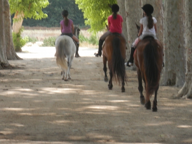 Grupo de chicas a caballo