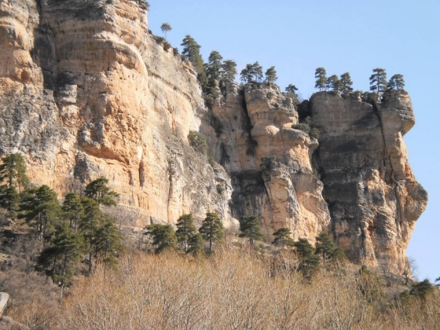  山景