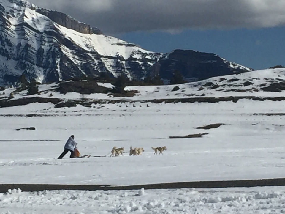 mushing_de_marian-corres_1459181820.2425.jpeg mushing_de_marian-corres_1459181820.2425.jpeg