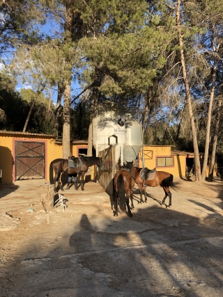 res_o-59061-rutas-a-caballo_de_julia-schellenberg_16913415943898.jpeg