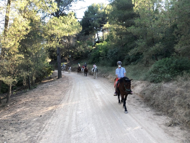 Bewertung von Estel.la Über Kostengünstige Reitroute in Collserola 1 Stunde