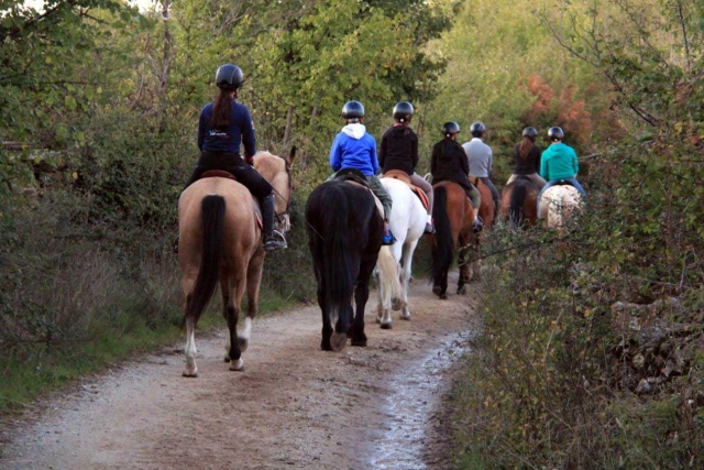Opinione di Deborah su Itinerario economico a cavallo a Collserola 1h