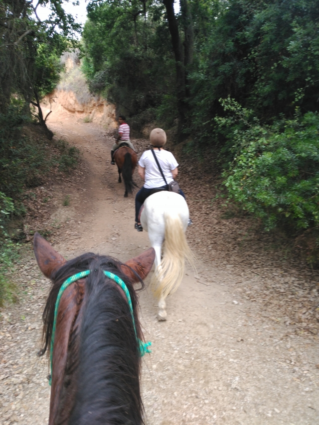 Opinión de Deborah sobre Ruta a caballo económica en Collserola 1h
