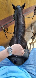 res_o-66812-rutas-a-caballo_de_unax-guinda-yerpes_3811_1779033291760.jpg