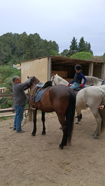 Opinión de Juan sobre Ruta a caballo económica en Collserola 1h