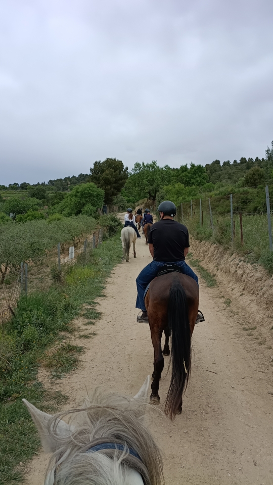 res_o-66646-rutas-a-caballo_de_juan-bautista-gimenez-sendiu_17759950789830.jpg