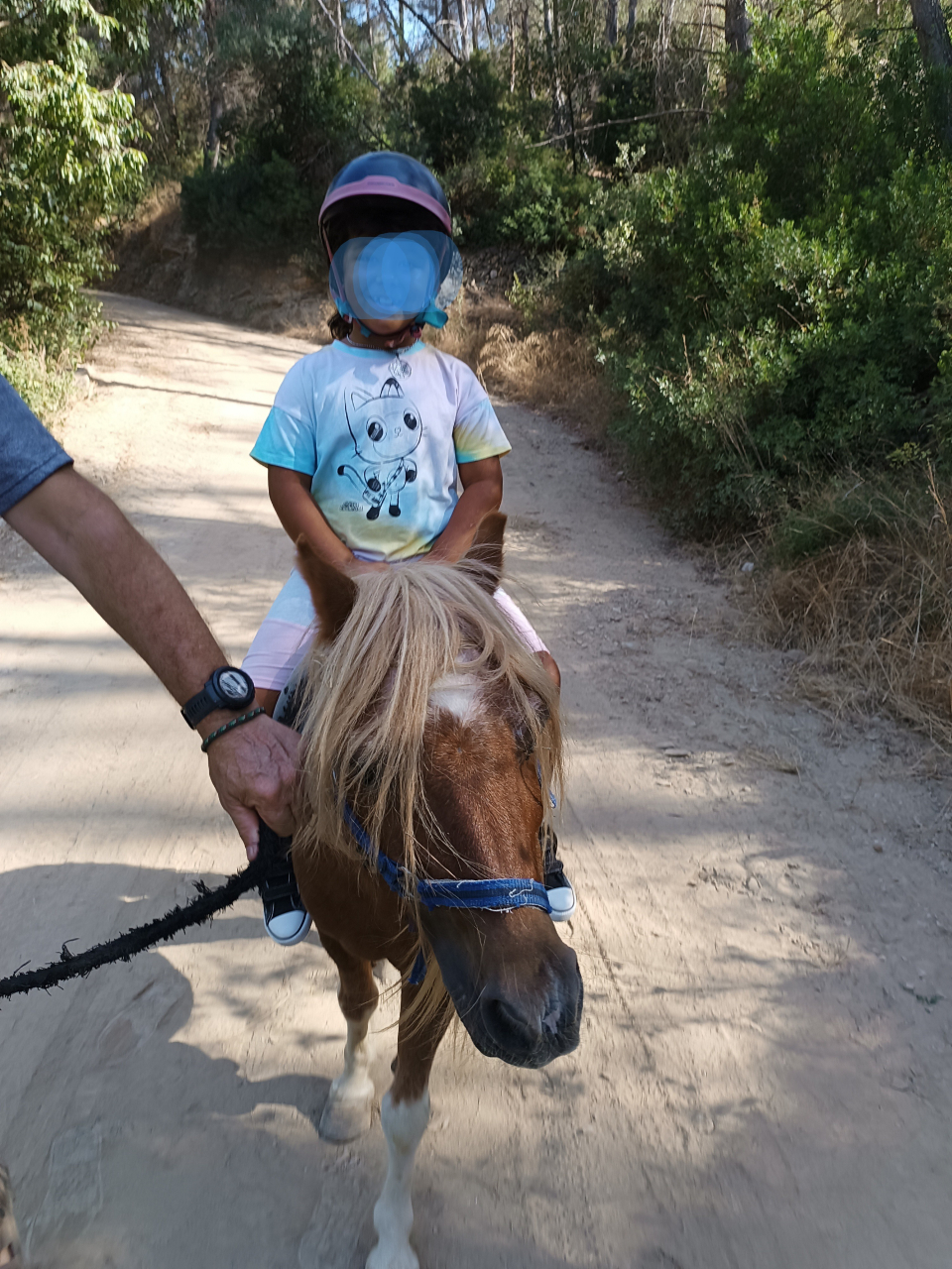 res_o-67862-rutas-a-caballo_de_carmen-medina-canadilla_1000332014_17919198662483.jpg