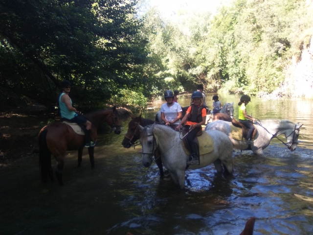  Con i cavalli nel fiume 