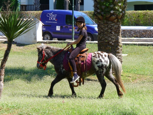 clases con ponis