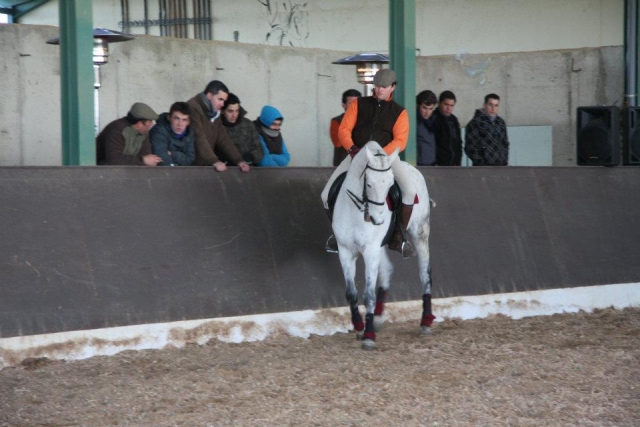  passeios a cavalo 