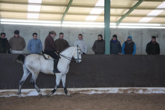  passeios a cavalo 