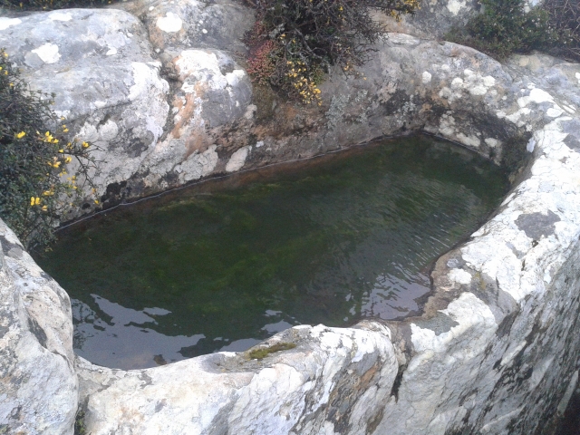  Pila sulla Salita alla Cisterna