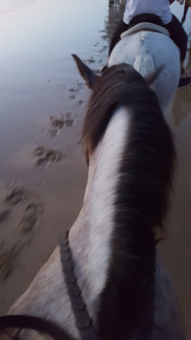 Avis de Gema concernant 2 heures d'équitation le long de la plage de La Barrosa
