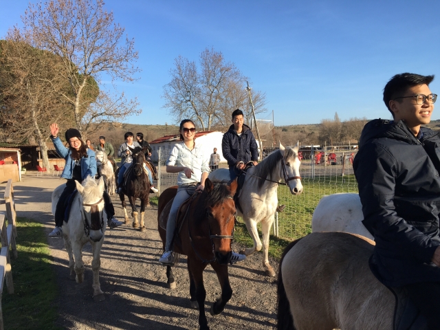  Gruppo a cavallo 