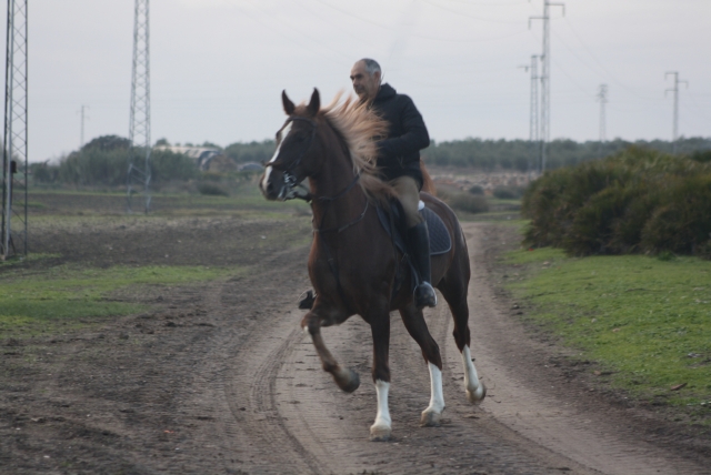  Feld 