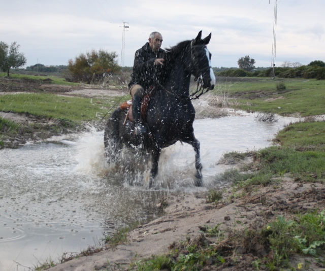  Wasser 