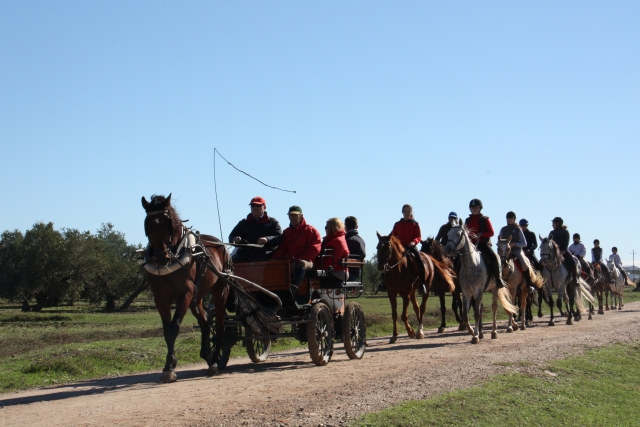  Geführte Reitrouten 