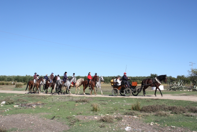  Reitrouten für Gruppen 
