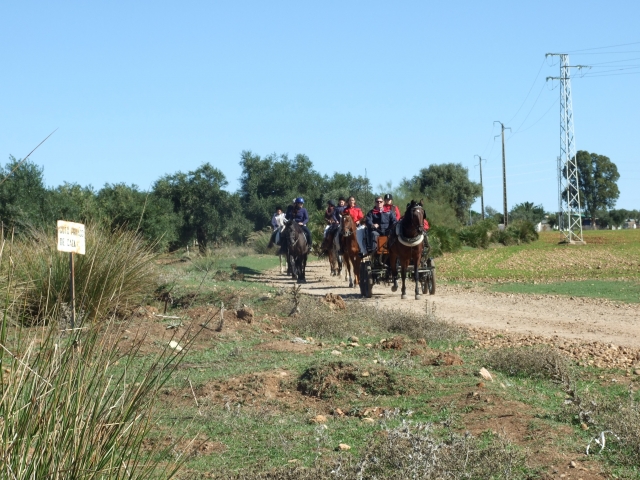  Reiten in der Natur 