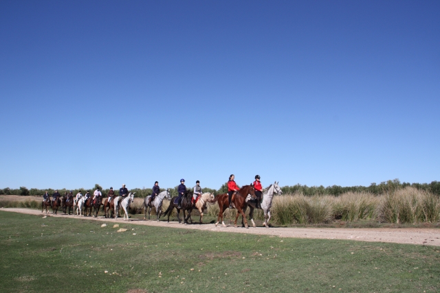  Reitrouten in Sevilla 