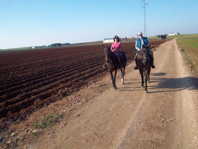 2014-01 PASEO A CABALLO EN ECIJA 11 ENERO 026.JPG