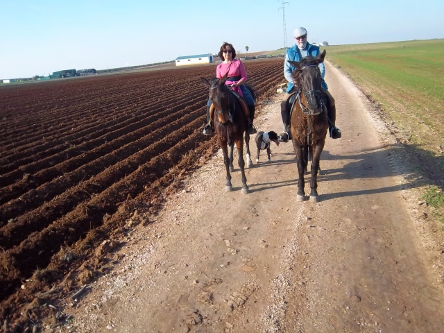 2014-01 PASEO A CABALLO EN ECIJA 11 ENERO 029.JPG