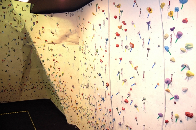 Escalódromo en nuestras instalaciones